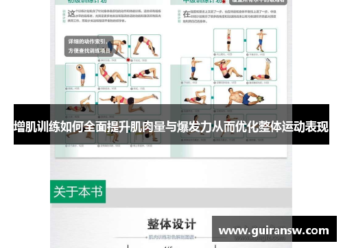 增肌训练如何全面提升肌肉量与爆发力从而优化整体运动表现