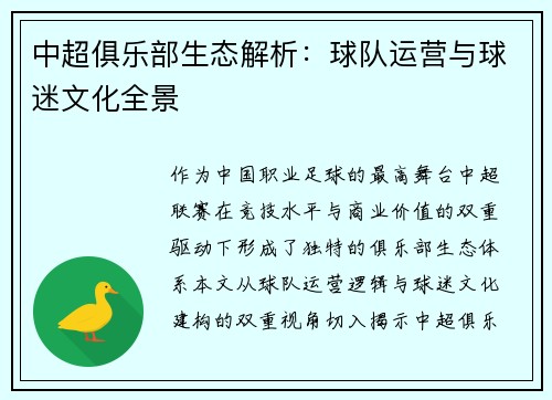 中超俱乐部生态解析：球队运营与球迷文化全景