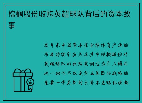棕榈股份收购英超球队背后的资本故事