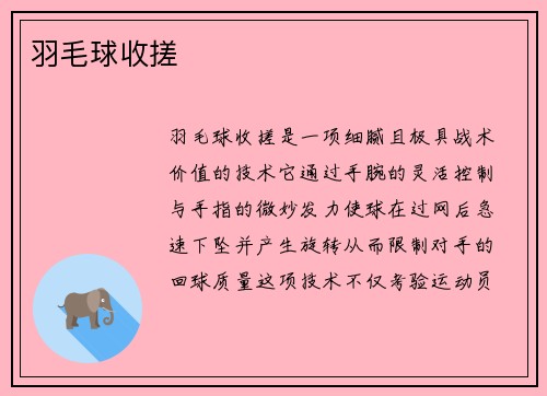 羽毛球收搓