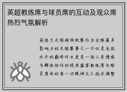 英超教练席与球员席的互动及观众席热烈气氛解析