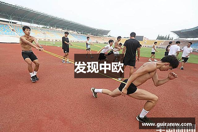 发现中欧